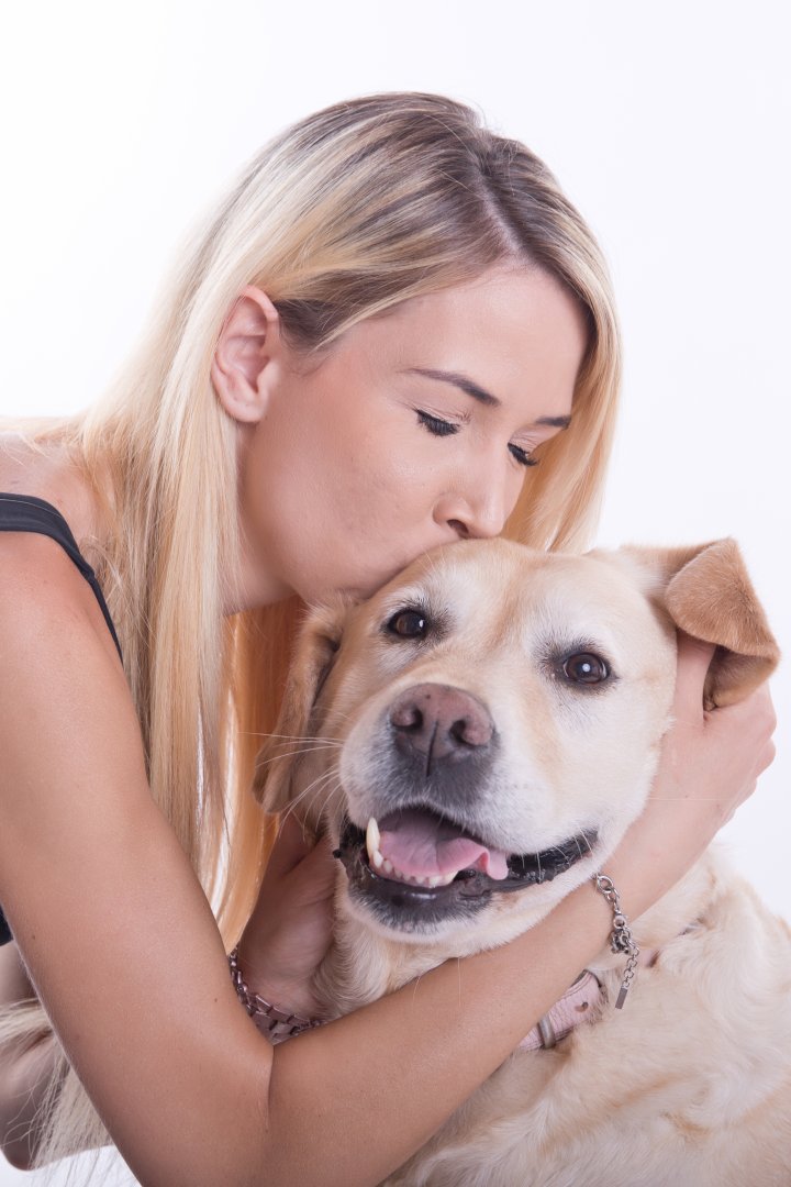 Hundefotografie | Andrea Weil | Bilder die leben