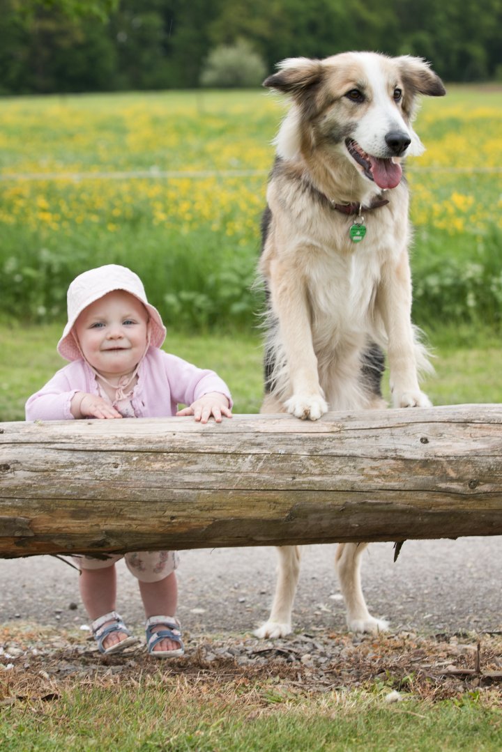 Hundefotografie | Andrea Weil | Bilder die leben