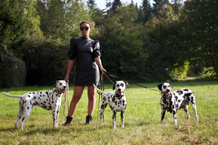 Hundefotografie | Andrea Weil | Bilder die leben