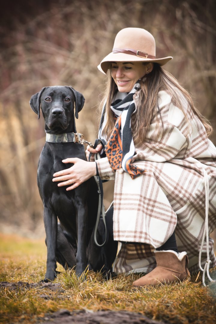 Hundefotografie | Andrea Weil | Bilder die leben